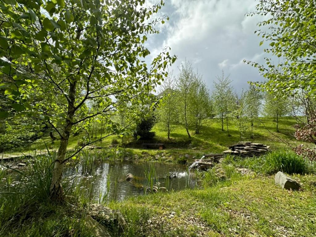 Babelkowa Beskidy Z Balia Jacuzzi * Gilowice (Zywiec)